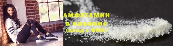 соль ск Ельня