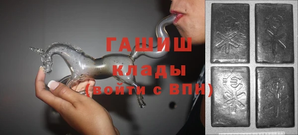 соль ск Ельня