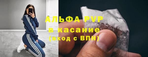 соль ск Ельня
