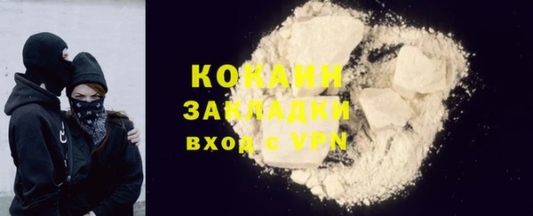 соль ск Ельня