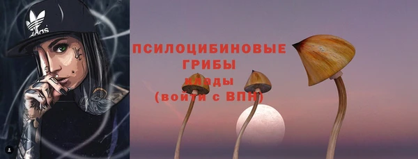 гидропоника Елабуга