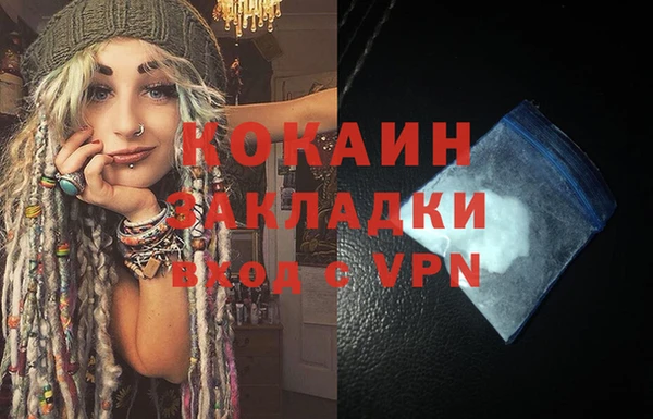 соль ск Ельня