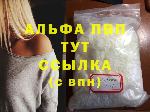 соль ск Ельня