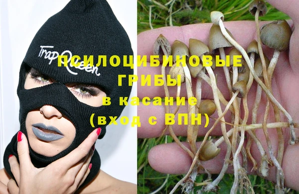 а пвп мука Елизово