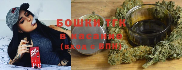 соль ск Ельня