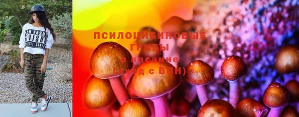 гидропоника Елабуга