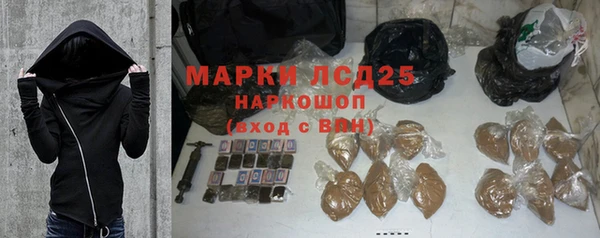 соль ск Ельня
