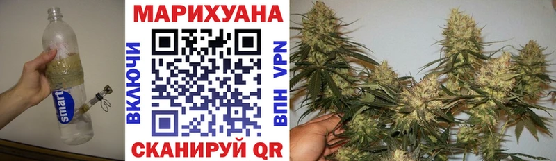 Бошки марихуана Amnesia  OMG   Невель 